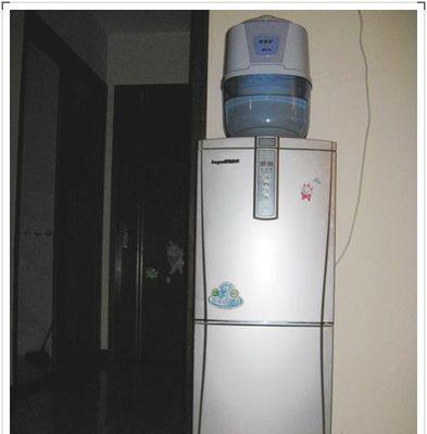 解决以谷格饮水机维修问题的完全指南（一步步教你如何轻松维修以谷格饮水机）