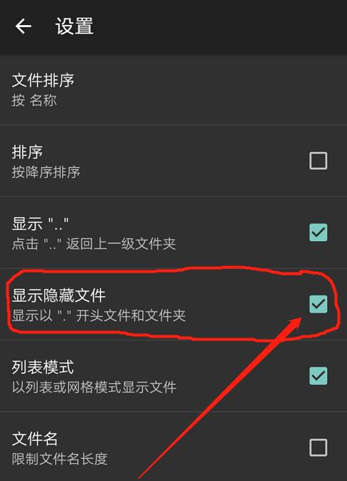 揭开隐藏的面纱——探寻被隐藏文件的内容（解密隐藏文件的方法及其应用领域）
