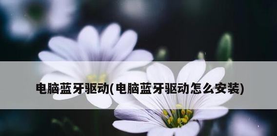 电脑蓝牙驱动的安装及使用教程（简明易懂的安装步骤）