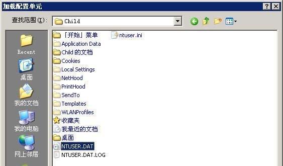 电脑中如何打开DAT文件（了解DAT文件的打开方式及步骤）