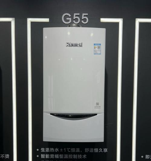 林内壁挂炉E5故障原因及在线维修方法（解析林内壁挂炉显示E5故障）