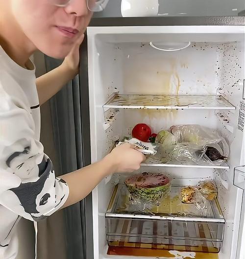 冰箱里老是有积水的原因及解决方法（探究冰箱积水问题的根源及有效解决办法）
