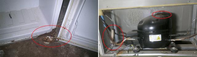 解决冰箱出水孔堵住的方法（轻松应对冰箱出水孔堵塞的小技巧）