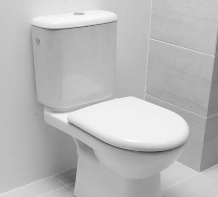 解决乐家马桶冲水声音过大问题（分析马桶冲水声音过大的原因及解决方法）