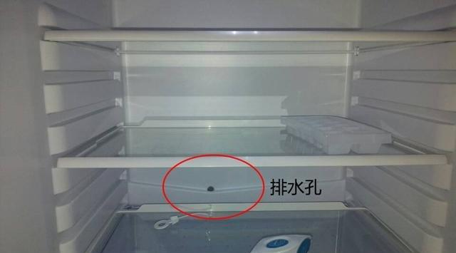 冰箱排水孔清洗方法（冰箱保持清洁的小技巧）