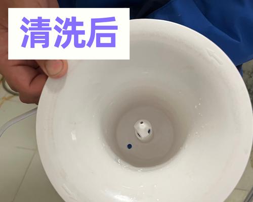 如何正确清洗以直饮水机（关键步骤和注意事项助你保证饮用水的安全性）