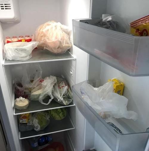 冰箱黑点处理的细节注意事项（如何彻底清洗冰箱内的黑点）