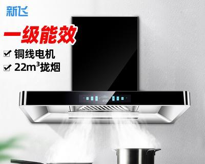 如何清洗侧式新飞油烟机（清洗技巧和注意事项）