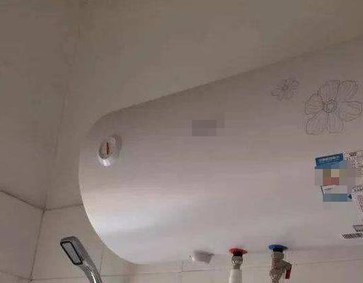 电热水器漏水处理大全（教你几招轻松解决家中电热水器漏水问题）