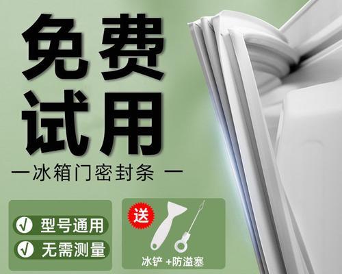 如何清洗冰箱门封条（一次简单的清洗让冰箱更健康）