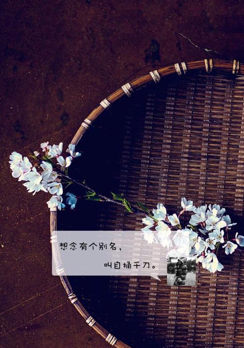 文字锁屏怎么设置？设置步骤和常见问题解答？