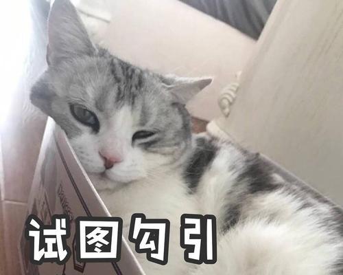 2020年最新最好的商务本有哪些特点？如何解决商务本使用中的常见问题？