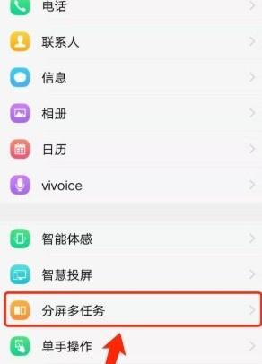 vivo手机如何设置个性皮肤？详细步骤是什么？
