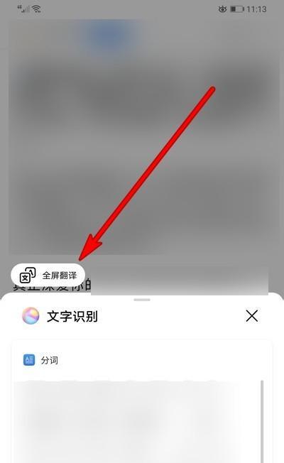 苹果手机屏幕识别自动翻译怎么弄？遇到问题如何解决？