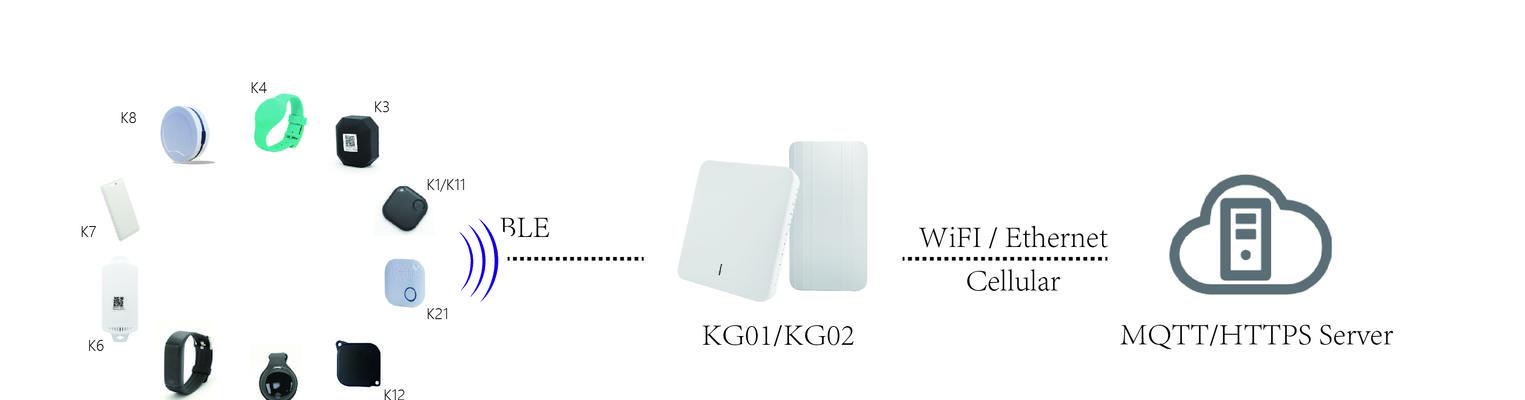 cellular和wifi哪个更优？如何根据需求选择合适的网络连接方式？