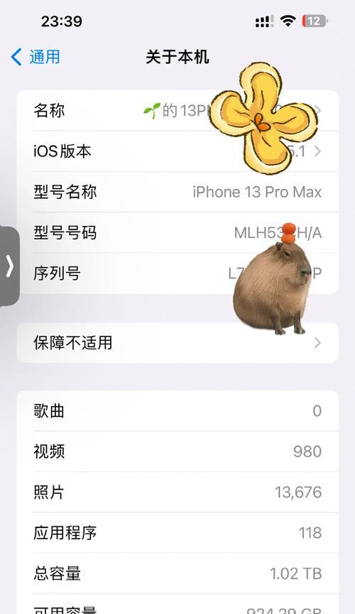 苹果13系列哪款最值得购买？购买时应注意哪些问题？