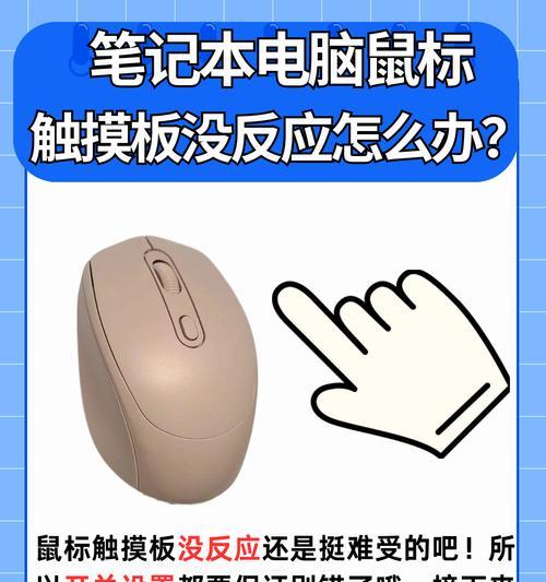 笔记本电脑无法充电的原因是什么？