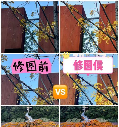 手机如何拍摄个人定格镜头？有哪些拍摄技巧？