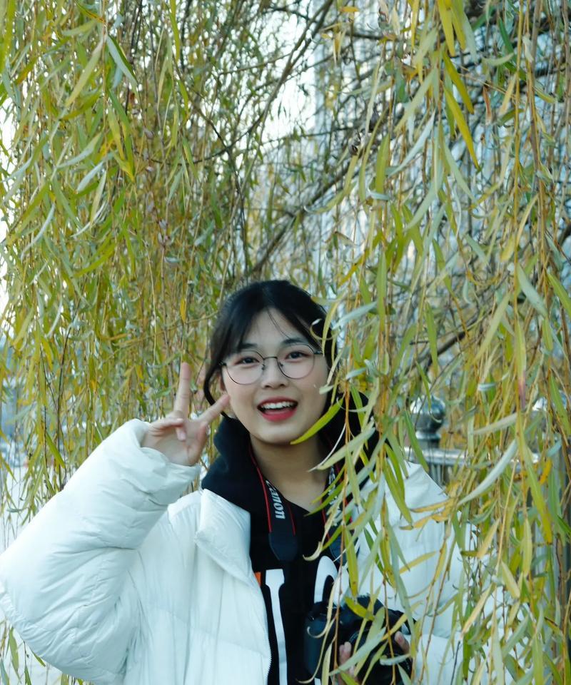 手机如何拍摄个人定格镜头？有哪些拍摄技巧？