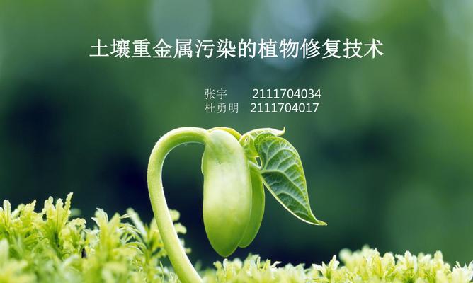 电脑内存损坏后如何修复？