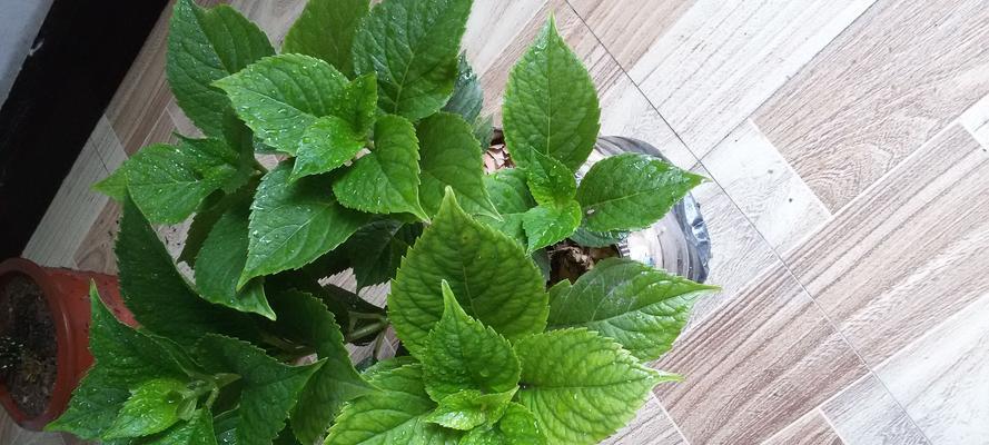 笔记本电脑英吉沙开机方法是什么？