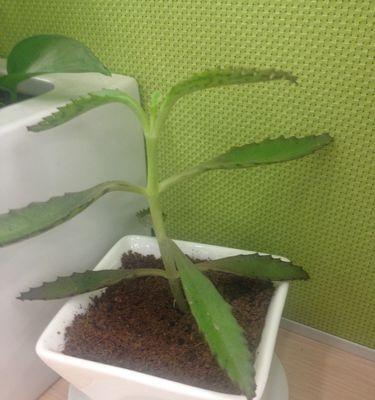 笔记本电脑英吉沙开机方法是什么？