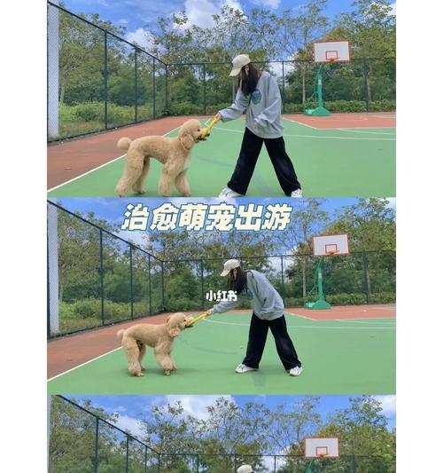 篮球拍照手机相机参数调整方法？