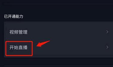 电脑伴侣连麦无声音如何调整设置？