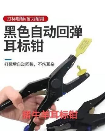 如何使用手机对电子耳标摄像头进行拍照？