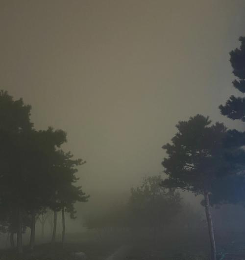 大雾天气下手机如何拍出清晰照片？