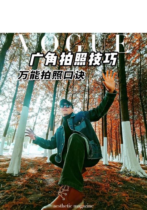如何正确使用手机广角功能进行拍照？