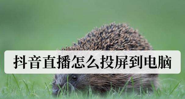 直播间电脑投屏时如何调整声音设置？