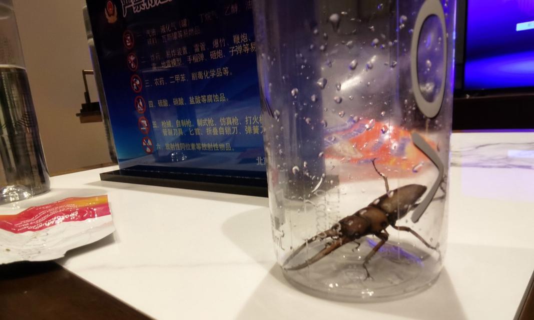 笔记本电脑里有虫子怎么处理？虫子进入电脑后如何修复？