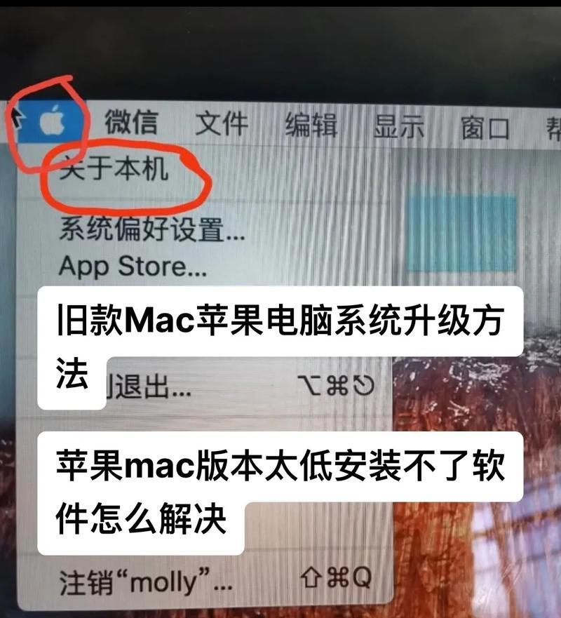 苹果电脑如何调整应用图标？