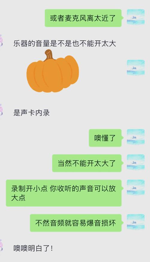 电脑录屏出现滋滋声怎么办？如何消除杂音？