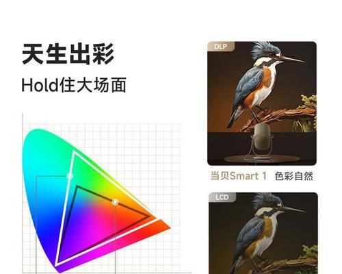 选择纯投影投影仪时应该考虑哪些品牌？