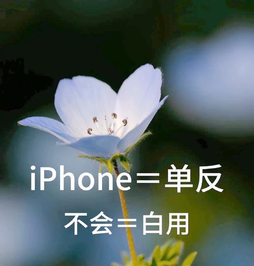 手机全屏拍照设置方法是什么？