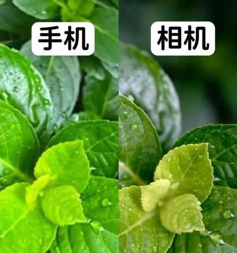 手机拍照调整曝光的正确方法是什么？