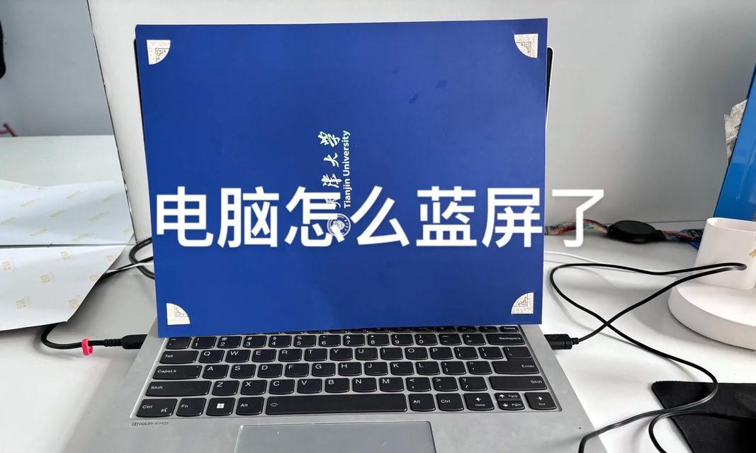 小猫坐在笔记本电脑上如何处理？