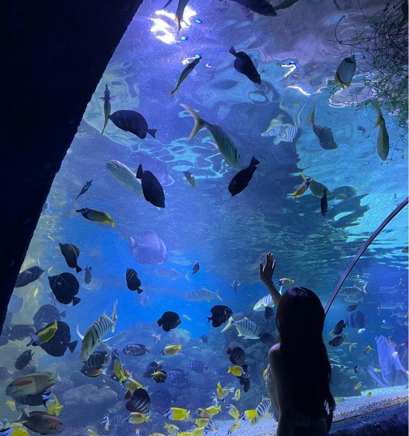 海底隧道拍照技巧有哪些？如何拍出好看的照片？