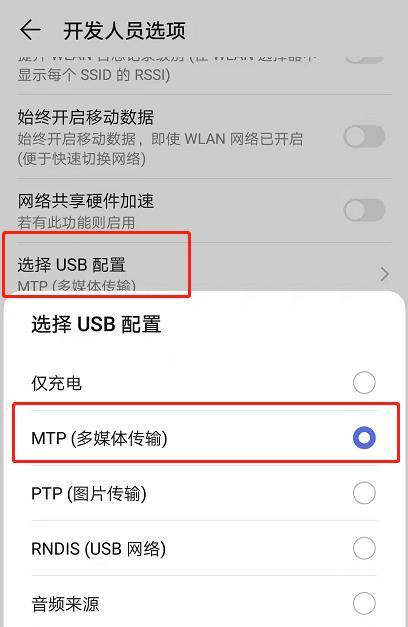 使用金舟投屏时电脑无声音是什么原因？如何解决？
