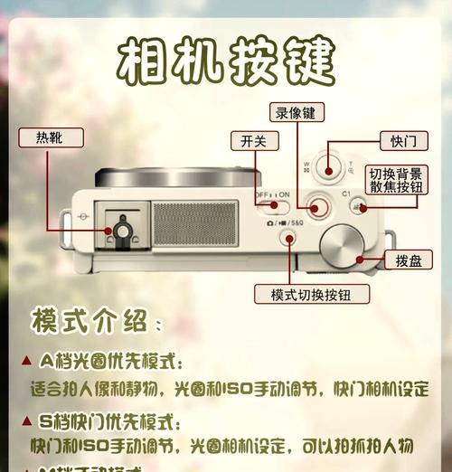 索尼相机放大功能怎么开启？放大后如何调整焦点？