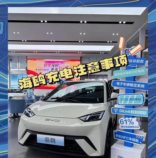 海鸥充电器车内充电方法是什么？车内充电需要注意什么？