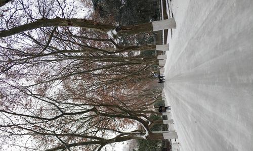 小米11s拍摄雪景技巧是什么？如何调整设置以获得最佳效果？