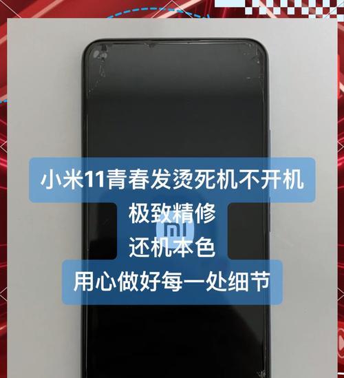 小米11青春版后盖更换方法？需要哪些工具？
