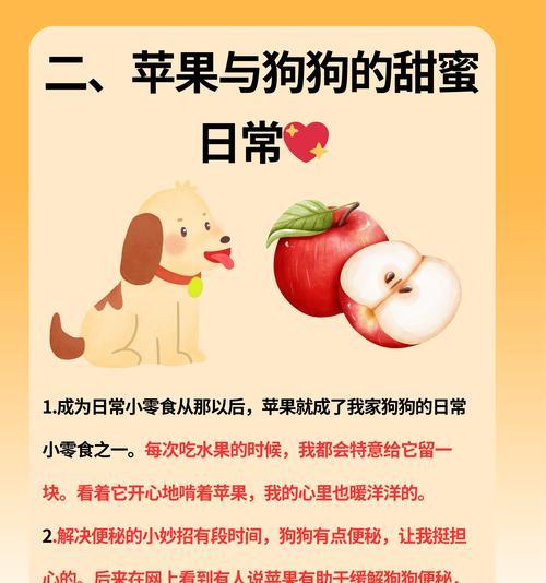 小狗充电器如何充电？充电时需要注意什么？