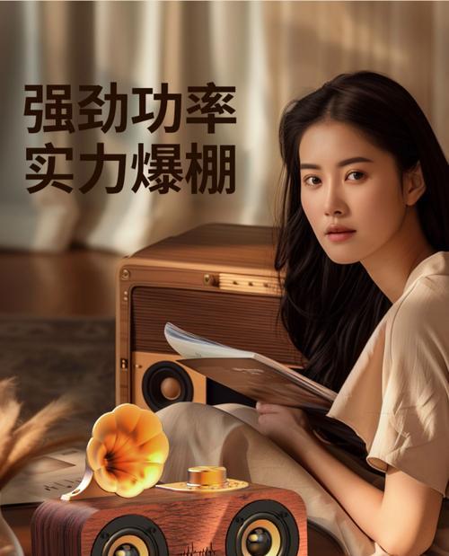 音箱如何使用U盘播放音乐？使用前需要进行哪些设置？