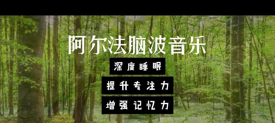 阿尔法脑波仪音箱如何调整？调整音箱的正确方法是什么？