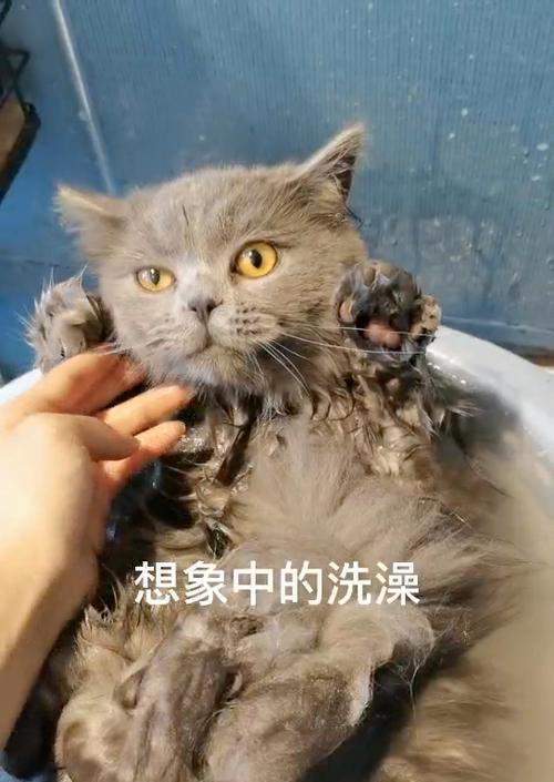 儿童浴与老人浴在热水器中有何不同？选择时应考虑哪些因素？