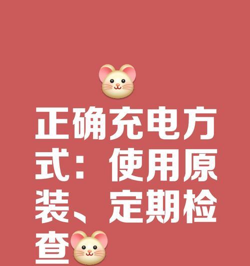 保养电池充电器使用方法是什么？